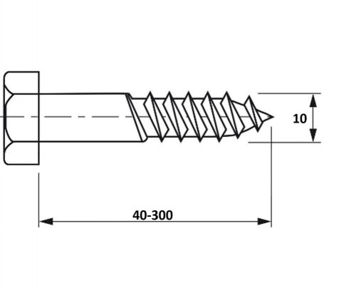 10x40-300 Állványcsavar